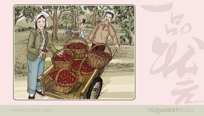 一品状元特产系列品牌策划-品牌策划-经典案例