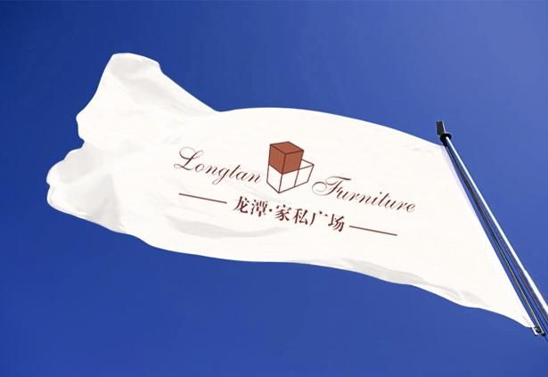 龙潭家私品牌设计-企业品牌策划设计-经典案例