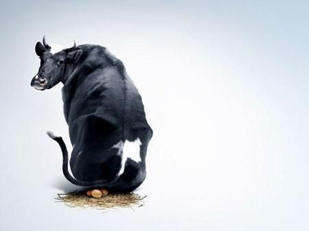 平面广告精品-平面设计-经典汇总-作品案例