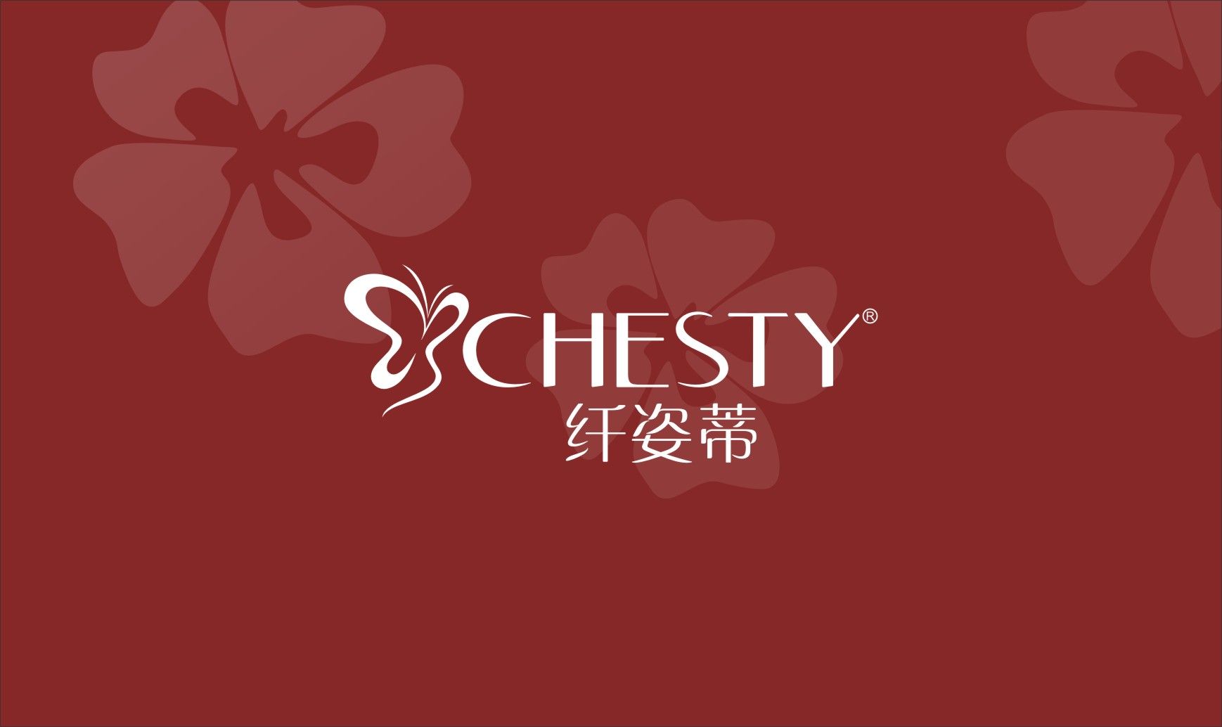 内衣品牌案例图片