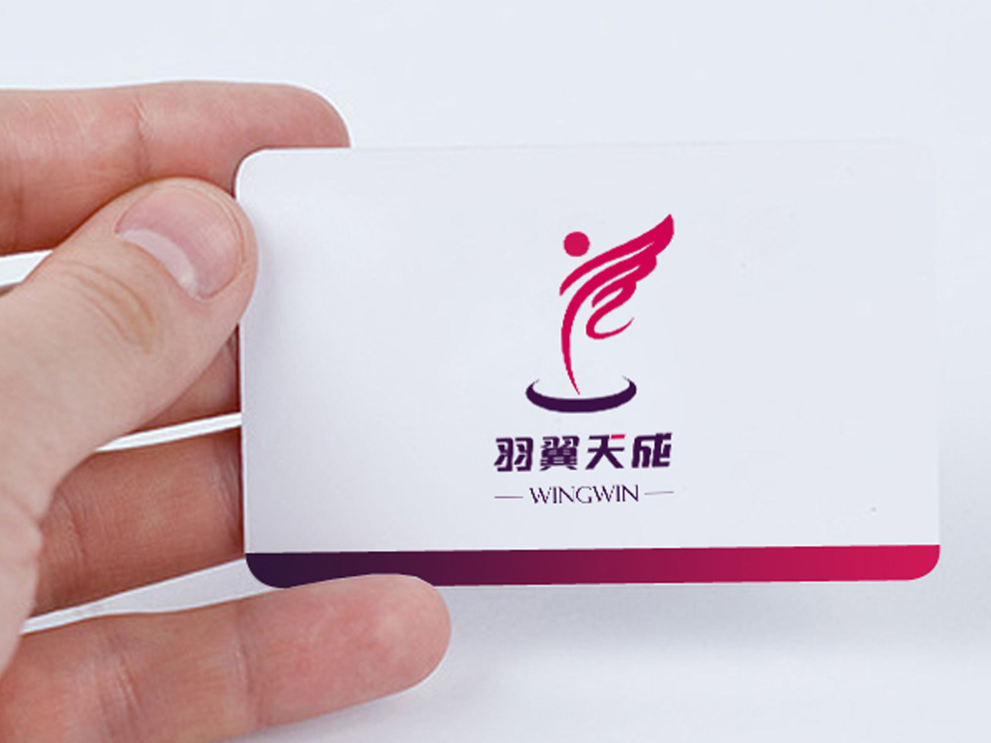 羽翼天成文化传播有限公司-品牌设计-作品案例