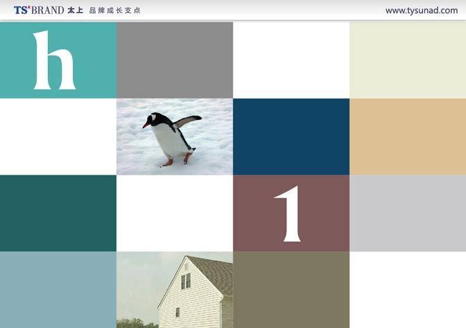 皓尔宝无机功能涂料-太上品牌营销策划案例图