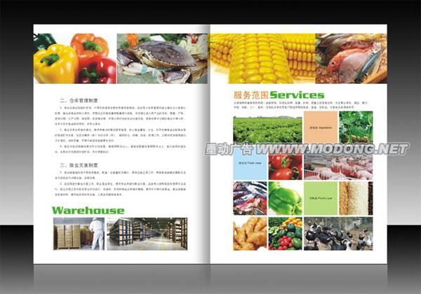 农产品配送公司画册设计案例-企业画册设计-设