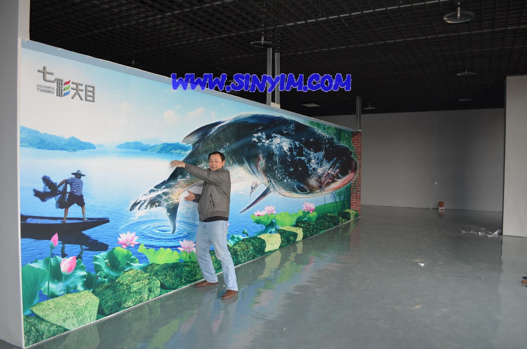 天目湖3d墙画