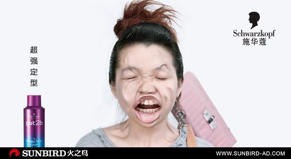 施华蔻-广告创意策划-设计案例 - 广州火之鸟广