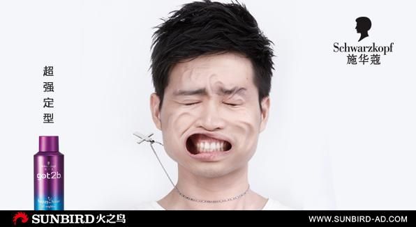 施华蔻-广告创意策划-设计案例 - 广州火之鸟广