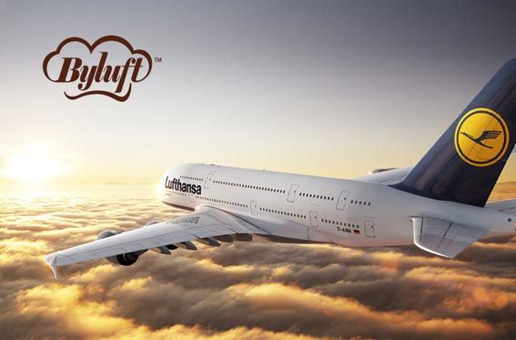 汉莎航空食品有限公司天厨臻品品牌标志设计-