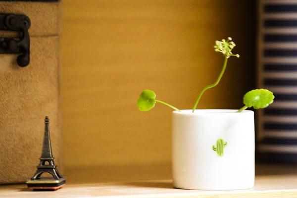 见素抱朴,少私寡欲。--《老子》-私人欣赏-设计