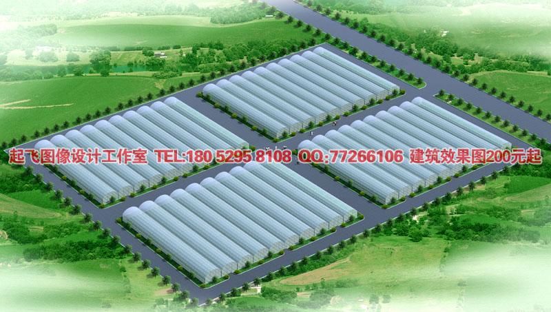 连体大棚效果图 大棚效果图 阳光棚效果图
