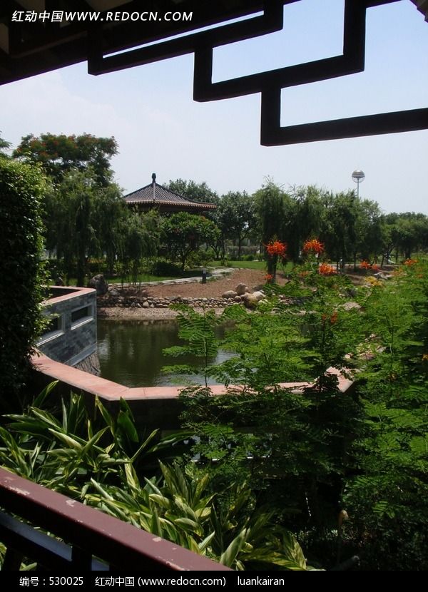 公园一角绿色景色