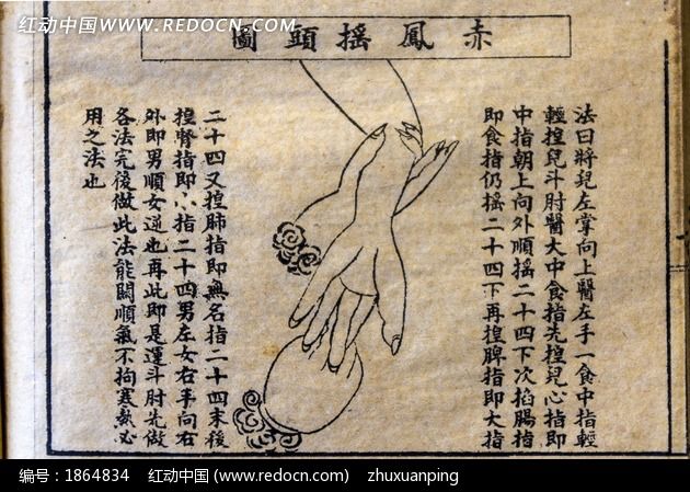 赤凤摇头图 古代医学图片_生活百科图片