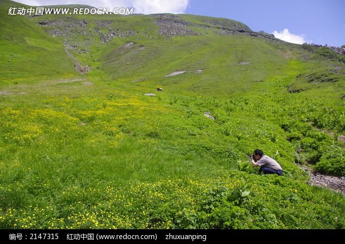 长白山山坡草地