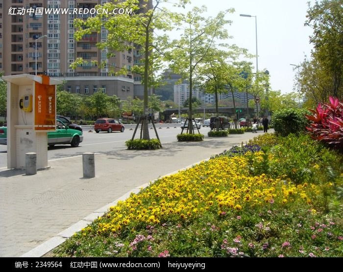 阳光道路街景