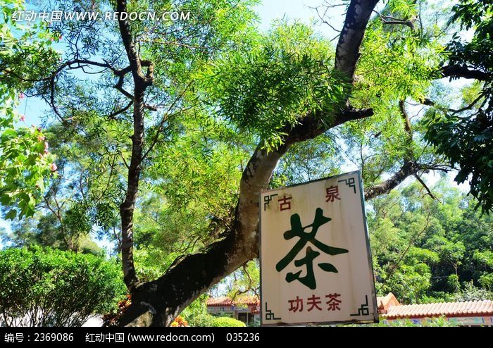 挂在树枝上的茶招牌