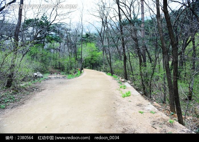 山间小路