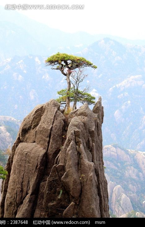 黄山山峰松树高清图片下载_红动网