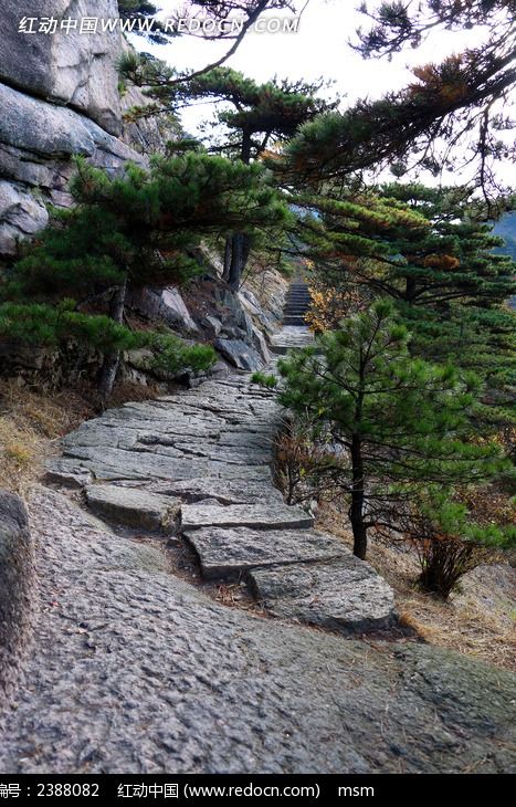 原创摄影图 自然风景 山峰山脉 黄山石板山路