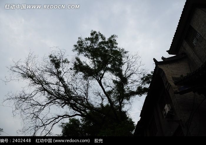 古城树枝剪影图片_建筑摄影图片图片