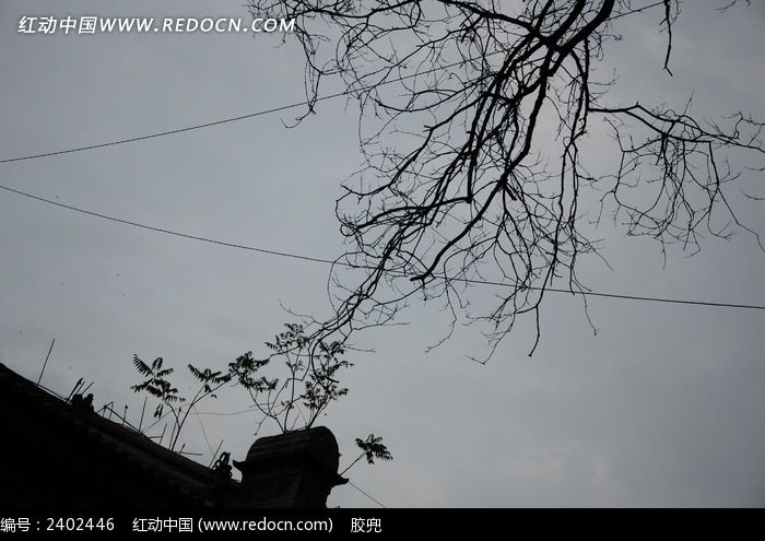 古城剪影树枝剪影图片图片