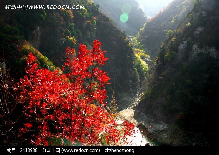 秋天红叶山水