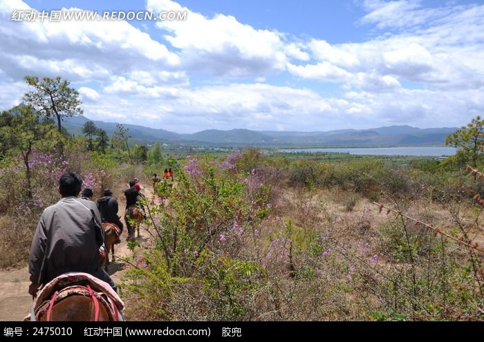 丽江茶马古道骑马游玩