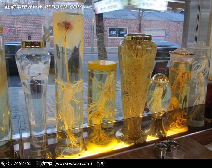 素材描述:红动网提供其它生物精美高清图片下载,您当前访问图片主题是东北珍宝人参药材,编号是2492755, 文件格式是JPG,您下载的是一个压缩包文件,请解压后再使用看图软件打开,色彩模式是,图片像素是4320*3240像素,素材大小 是3.03 MB。
