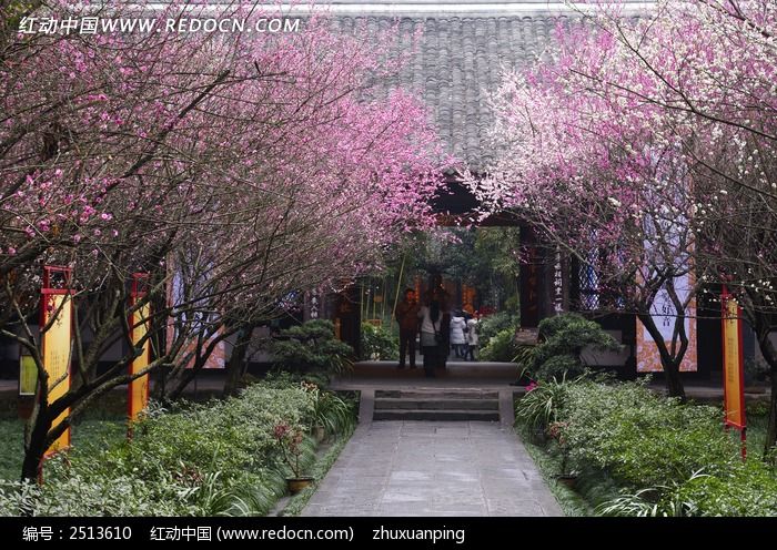 原创摄影图 建筑摄影 园林景观 草堂梅花  素材描述:红动网提供园林