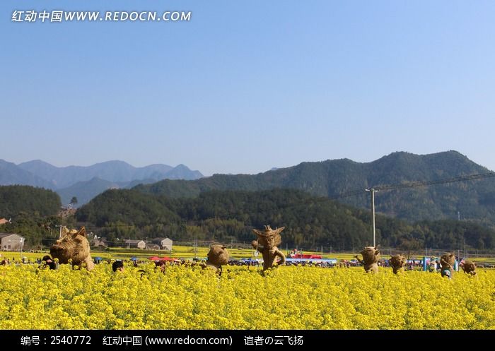 油菜花海里的稻草人