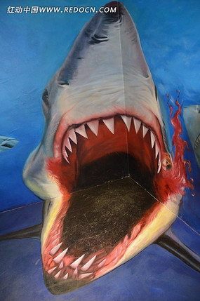 张开嘴的大鲨鱼