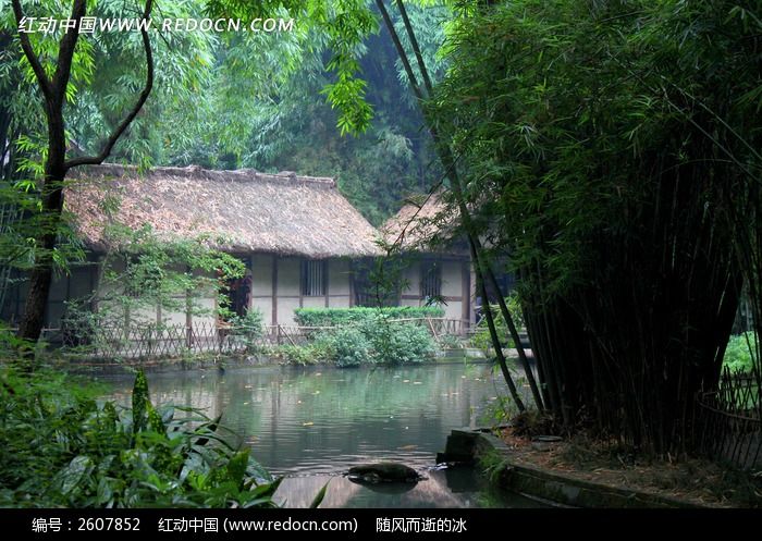 原创摄影图 自然风景 其它 竹林旁边的茅屋  素材描述:红动网提供其它
