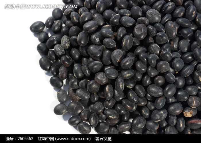 黑豆高清摄影