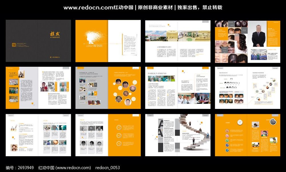 植发宣传册设计_画册设计\/书籍\/菜谱图片素材