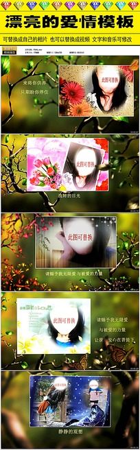 浪漫婚庆视频AE模版