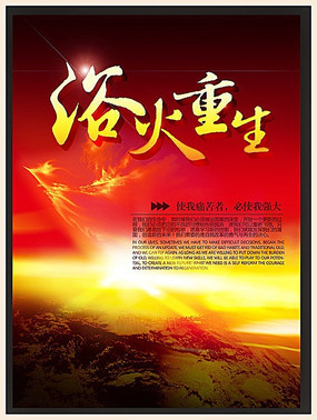 浴火重生项目投标方案ppt