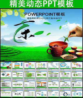 绿色清新茶叶茶韵茶文化ppt模板
