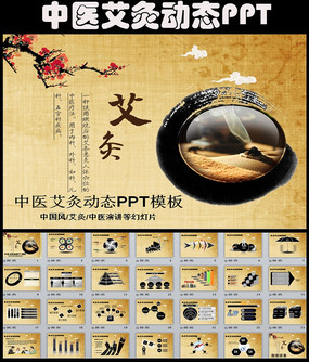 中医养生艾灸ppt模板