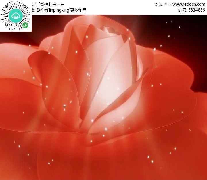 晚会用玫瑰花开led视频素材