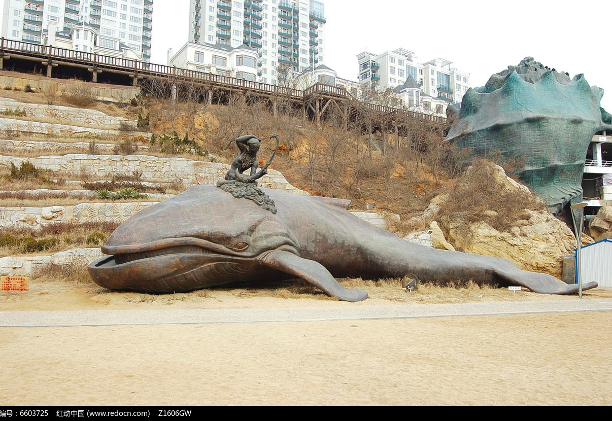 独家鲸鱼提花羊绒套头选什么牌子好 同款好推荐