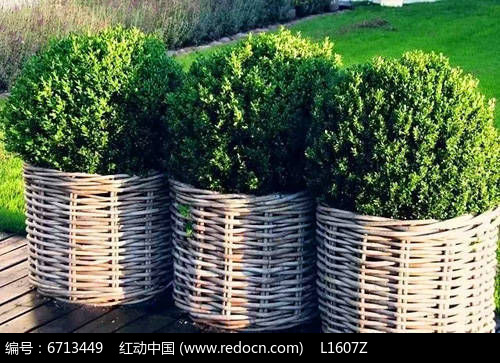 竹篱编织花钵JPG素材下载_花坛树池设计图片
