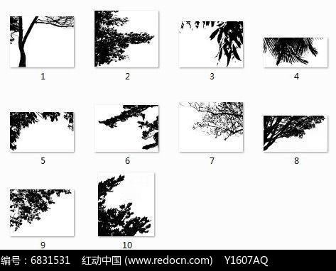 专辑 景观方案意向 景观材料意向 植物贴图素材专辑 当前