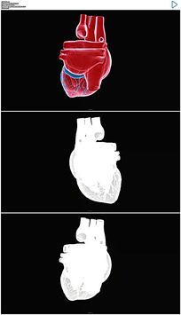 跳动心脏视频