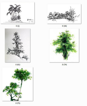 植物手绘图