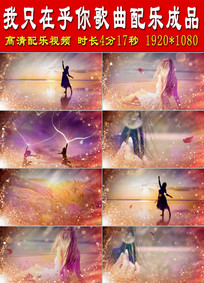 我只在乎你歌曲配乐成品下载(编号:8281193)