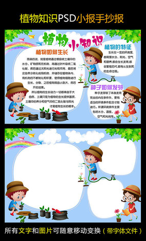 专辑 景观方案意向 景观手绘素材意向 植物平面手绘ps素材专辑 当前