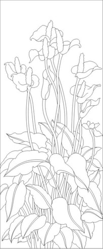 手绘红色马蹄莲花