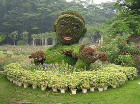 立体植物造型专辑
