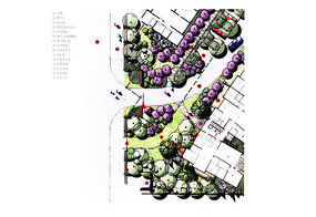 住宅区植物组团设计彩平