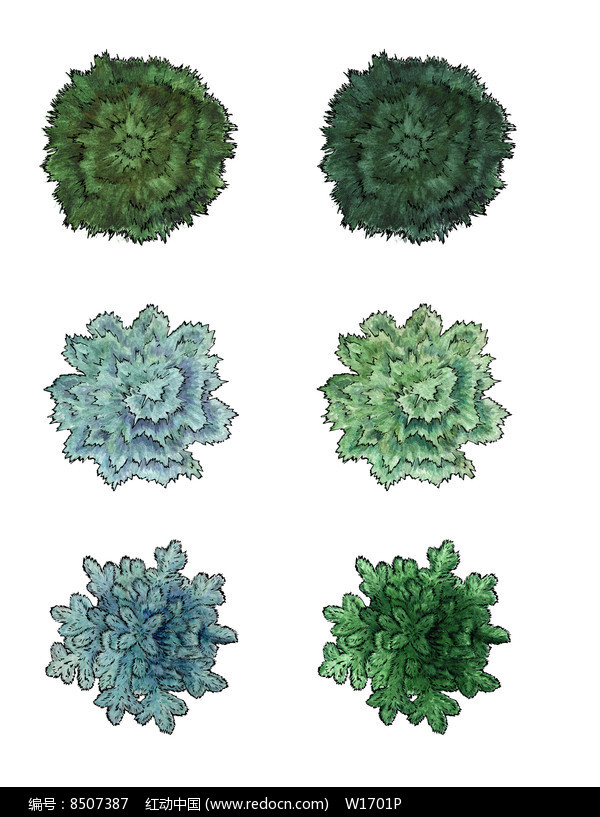 专辑 景观方案意向 景观手绘素材意向 植物平面手绘ps素材专辑 当前