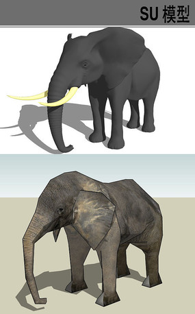 3d动物大象su模型