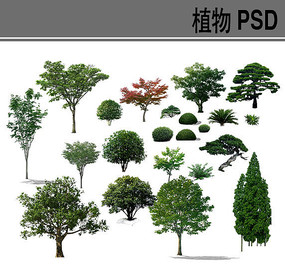 乔灌木psd素材